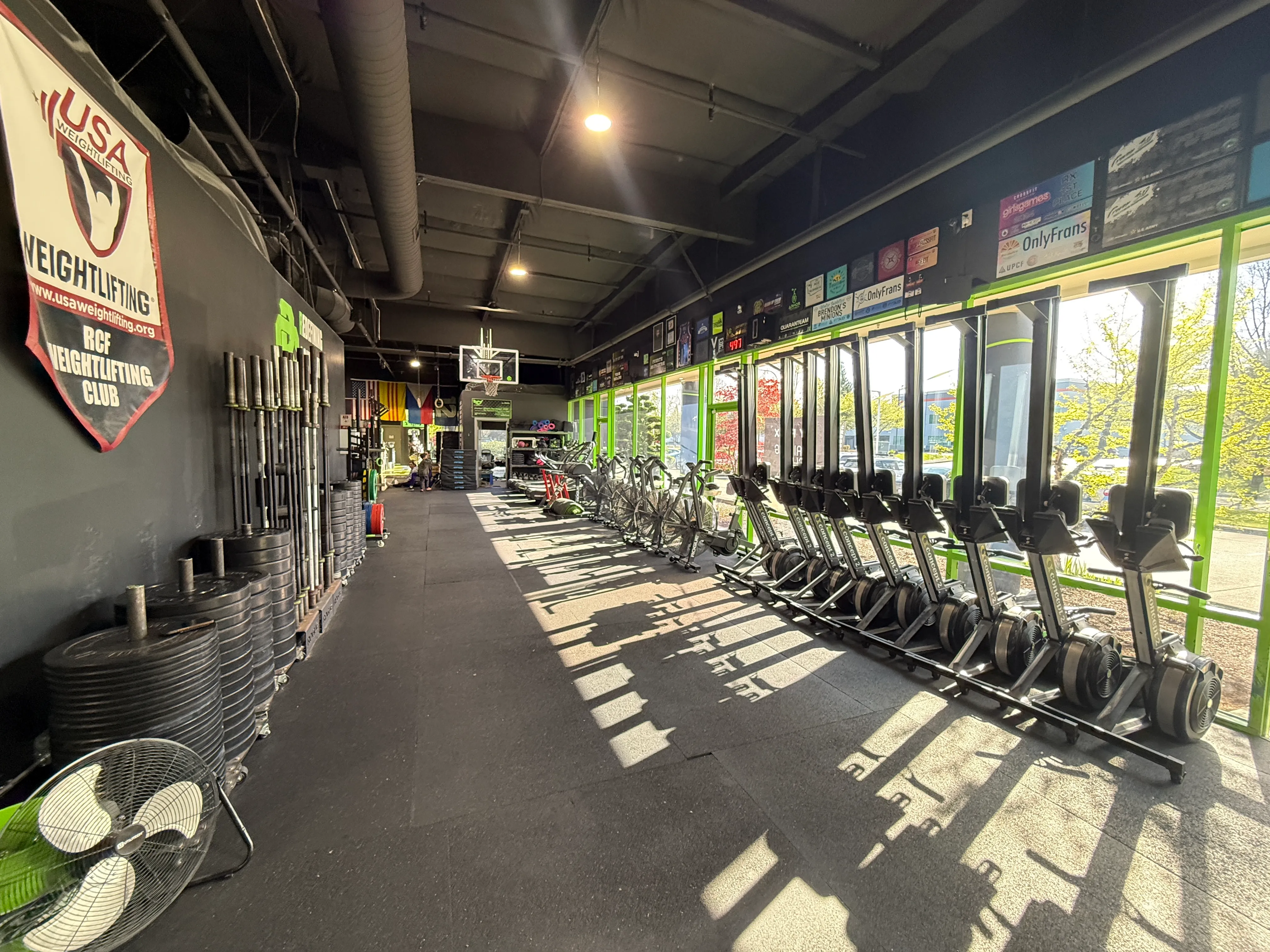 USA Weightlifting club area with bumper plates, barbell storage, and a full row of Concept2 rowers by bright windows.